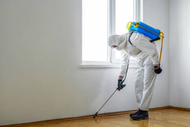 Best Insect Control  in Moore, OK