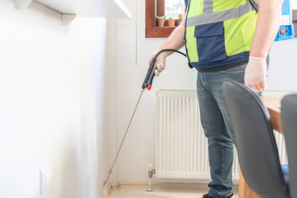 Best Ant Control Services  in Moore, OK