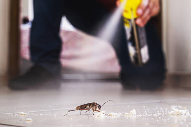 Best Best Pest Control Companies  in Moore, OK